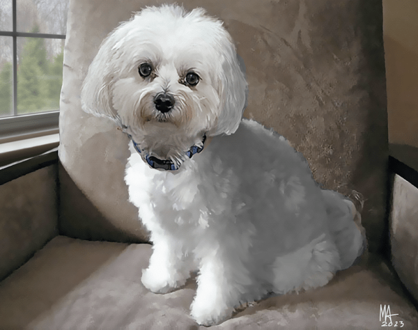 Custom Portraits Pets & People - Image 3